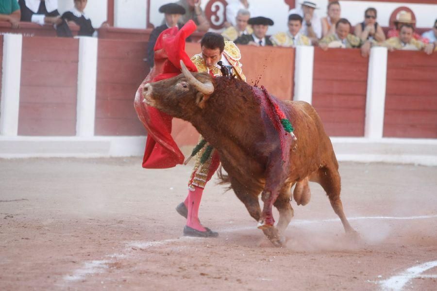 Toros en Zamora