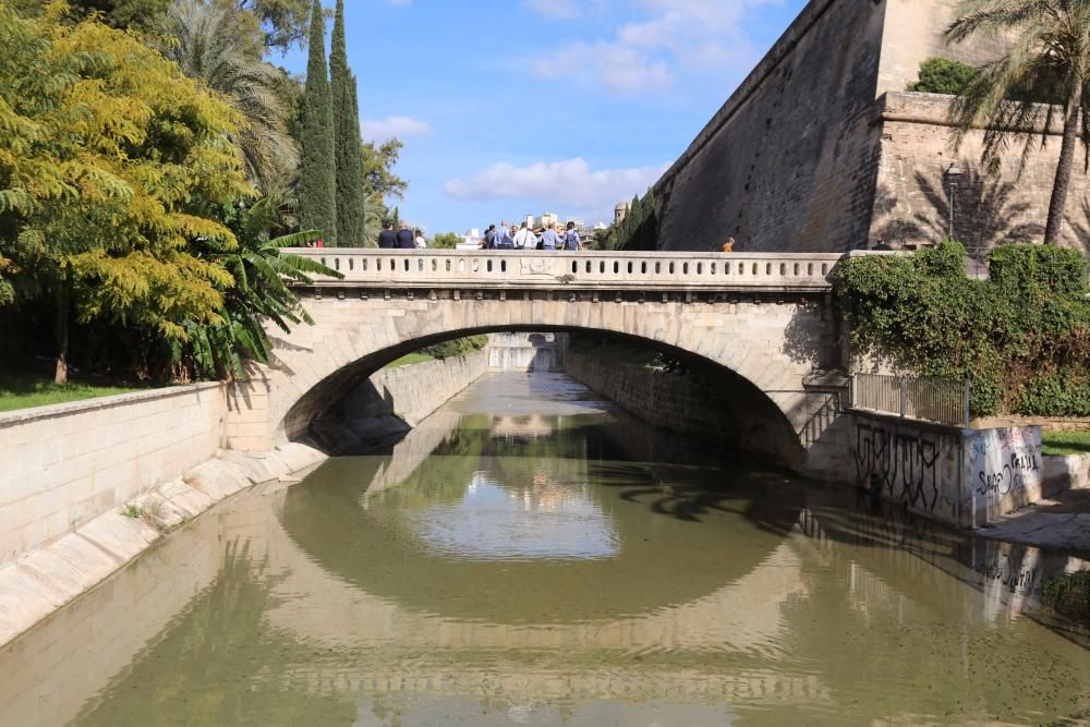 El puente de Eusebio Estada en sa Riera ya tiene su placa