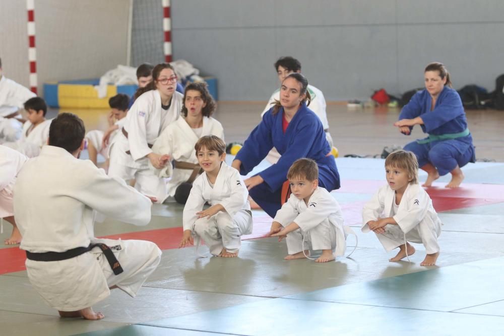 Judo para todos