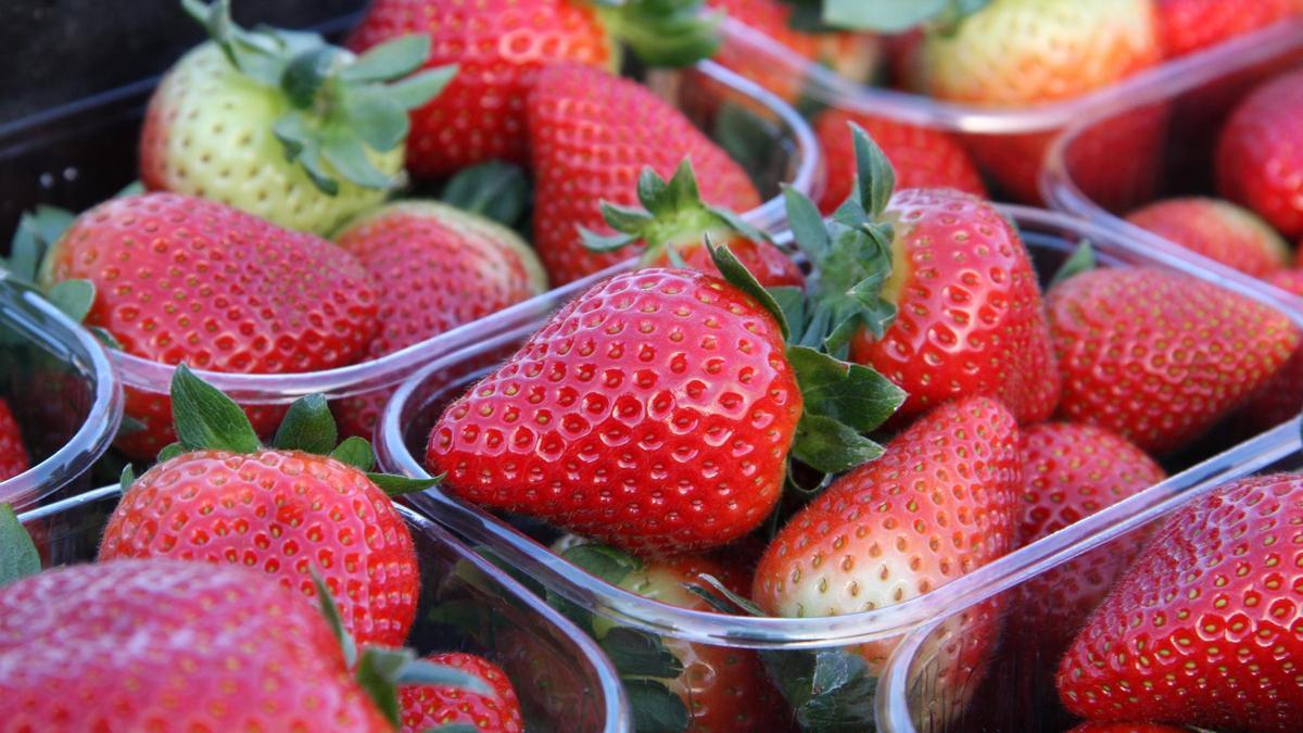 Tarrinas de fresas de Huelva.