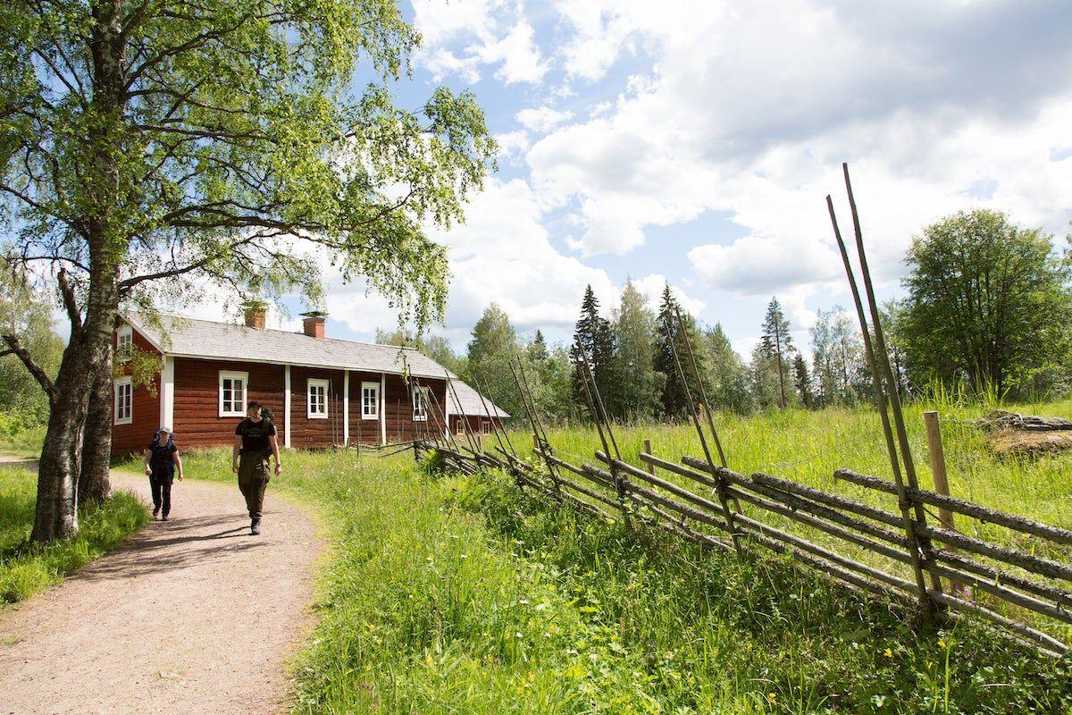 Parque Nacional Seitseminen, Finlandia