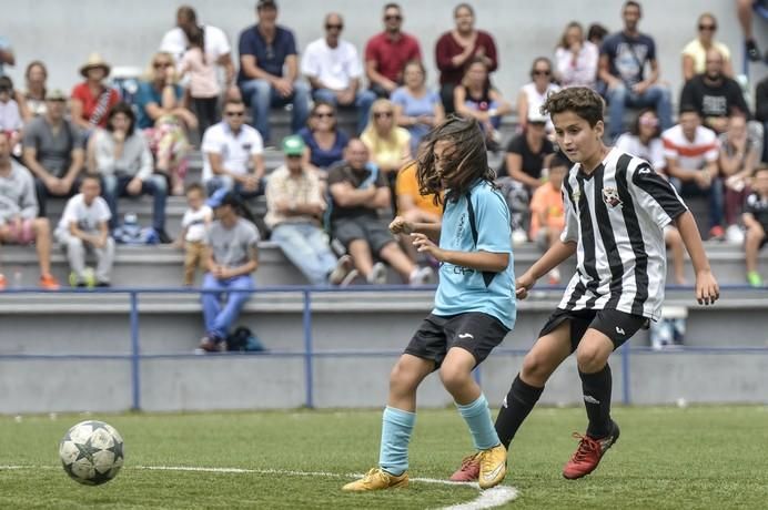 LAS PALMAS DE GRAN CANARIA A 03/06/2017. Copa de Campeones Benjamines Cerruda -- Carnavali. FOTO: J.PÉREZ CURBELO