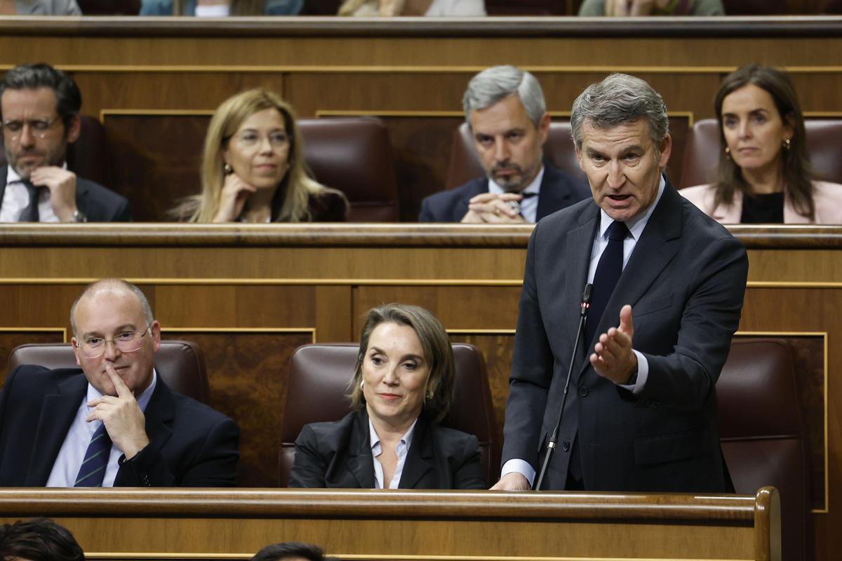 El líder del PP, Alberto Núñez Feijóo, durante su intervención en la sesión de control de este miércoles en el Congreso.