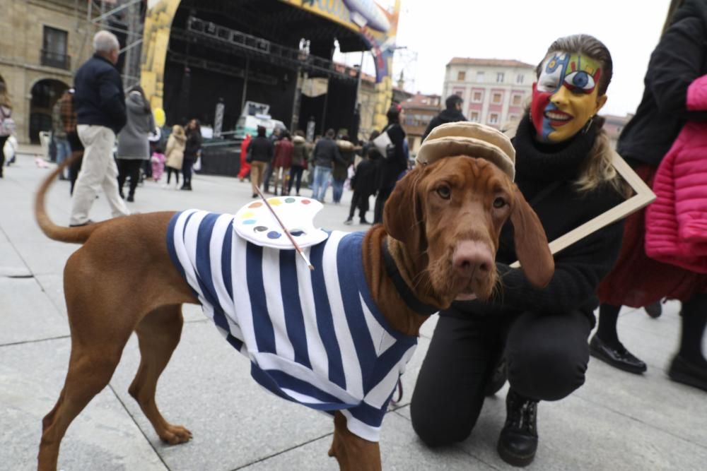 Mascotas disfrazas en Avilés