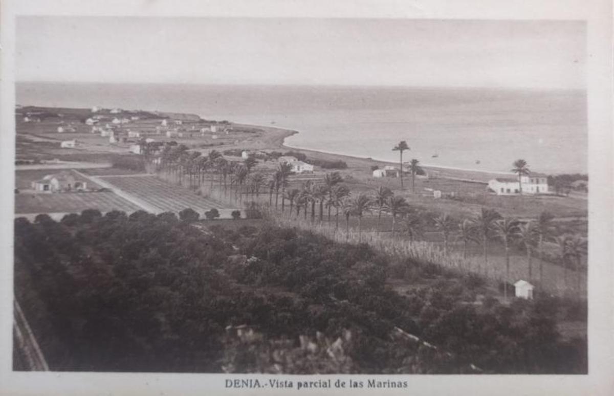 El paisaje perdido de la naranja en Dénia