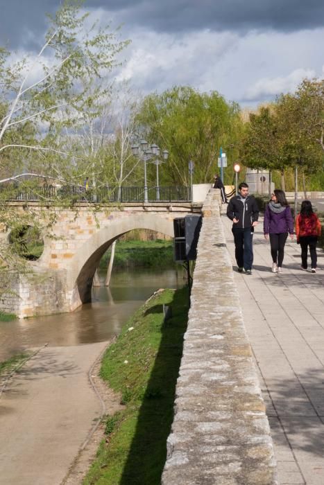 Crecida del río Duero