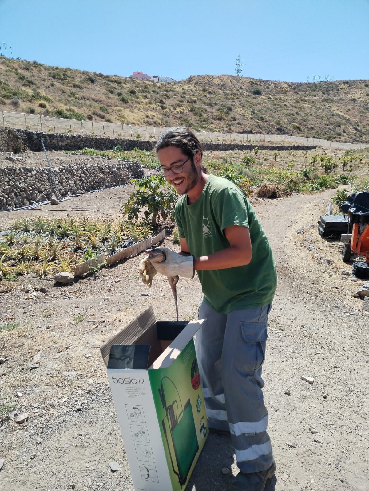 CMFP de Agraria - Producción Agroecológica (LOE) dual del CIFP Felo Monzón Grau Bassas