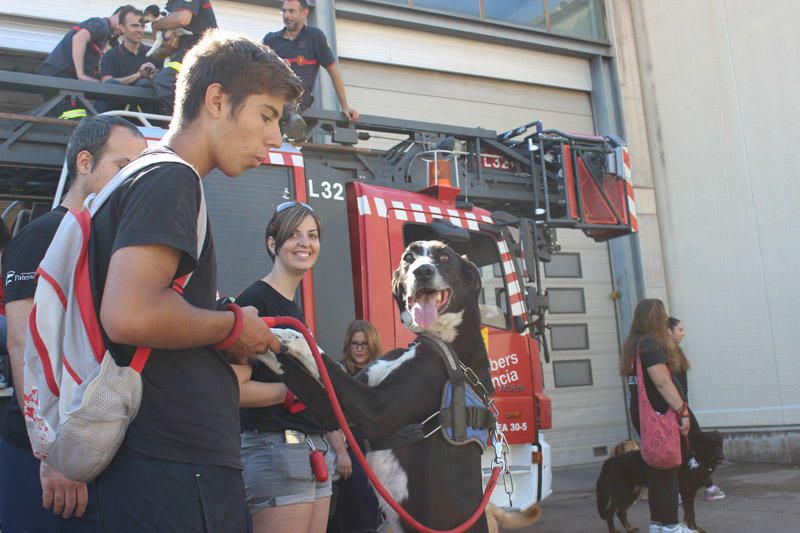 Los Bomberos de Valencia, con la adopción de mascotas