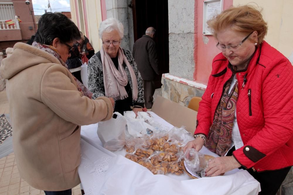 Bendición de los animales en Cartagena