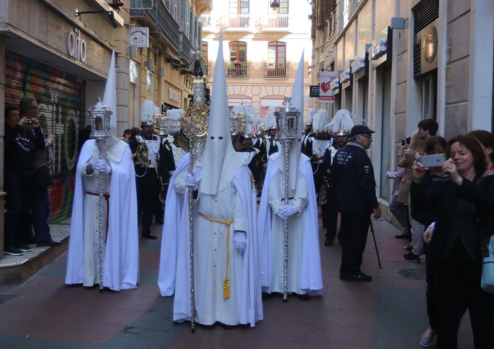 Domingo de Resurrección | Resucitado