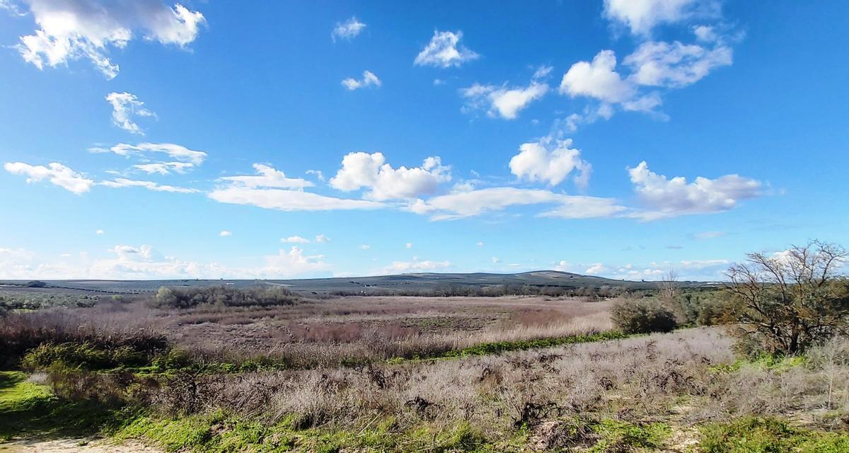 La Laguna del Rincón, en Aguilar, sin agua.