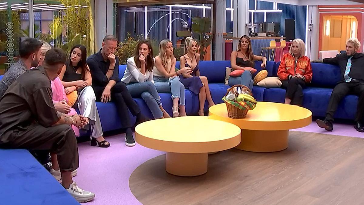 Los concursantes de &#039;GH VIP 8&#039;