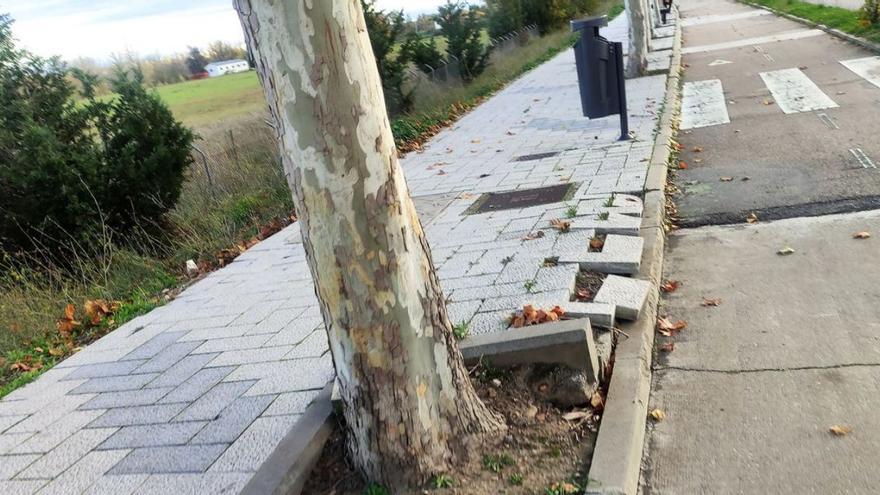 Deficiencias denunciadas por Zamora Sí en el carril bici de la Aldehuela. | Cedida