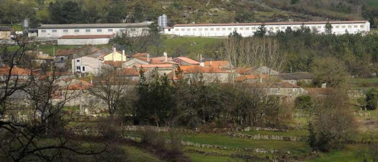 Explotaciones ganaderas en la aldea de Alemparte, en Lalín. // Bernabé/Javier Lalín