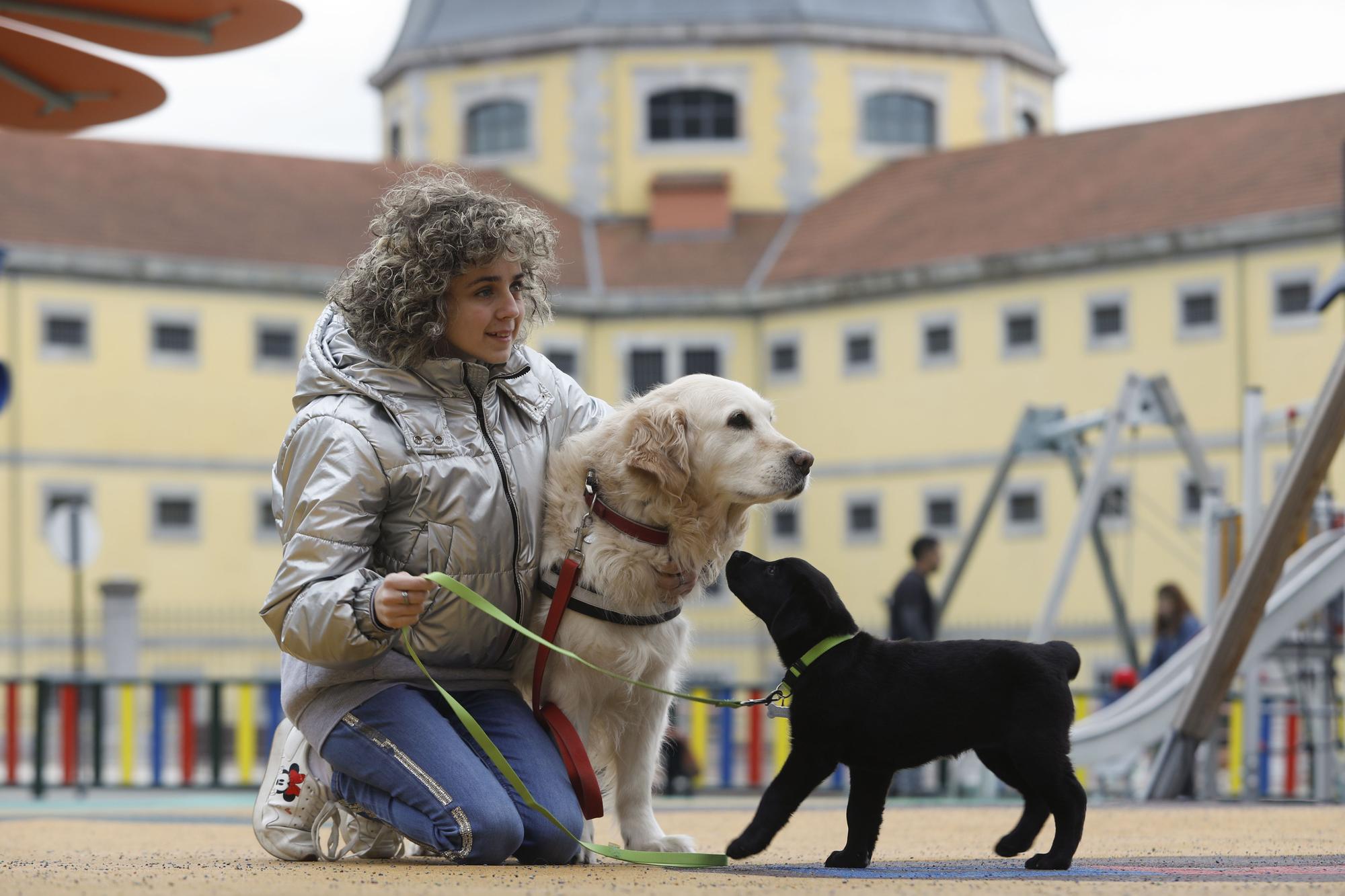 Carmen López, la primera invidente de Europa con título para entrenar perros guía