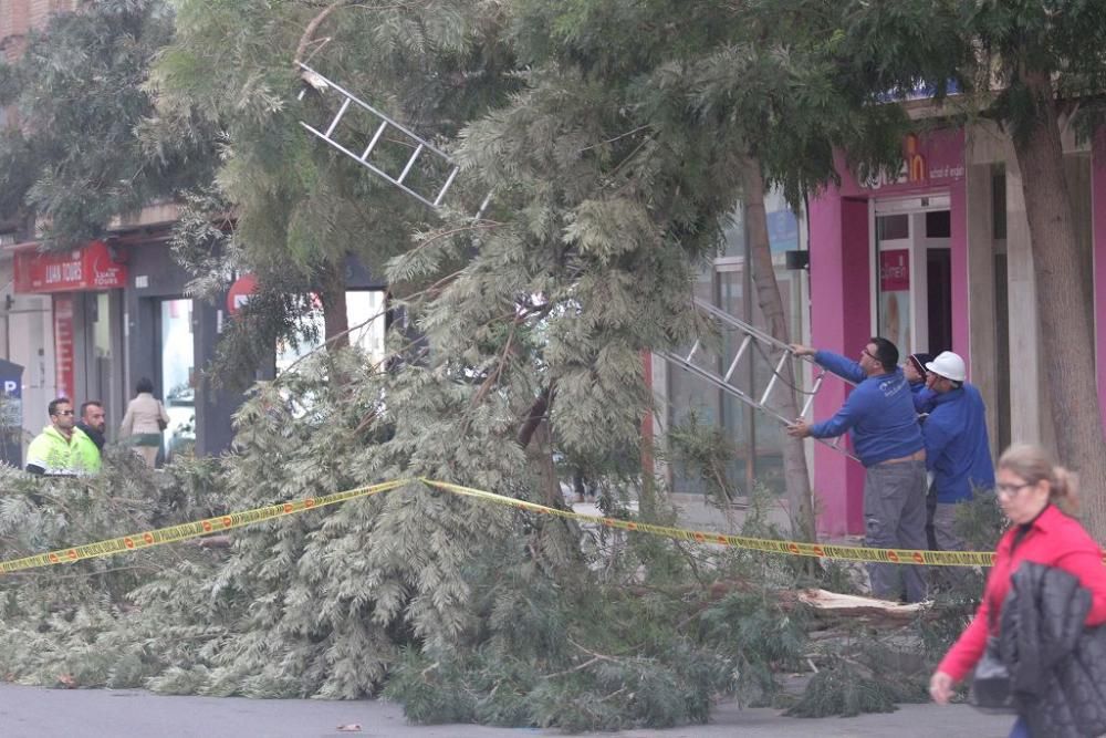 La borrasca Ana, a su paso por Cartagena