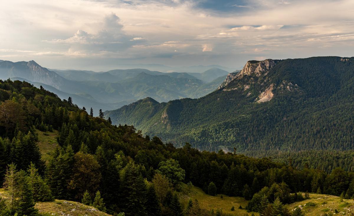 Balcanes y Bosques Primarios de Perućica