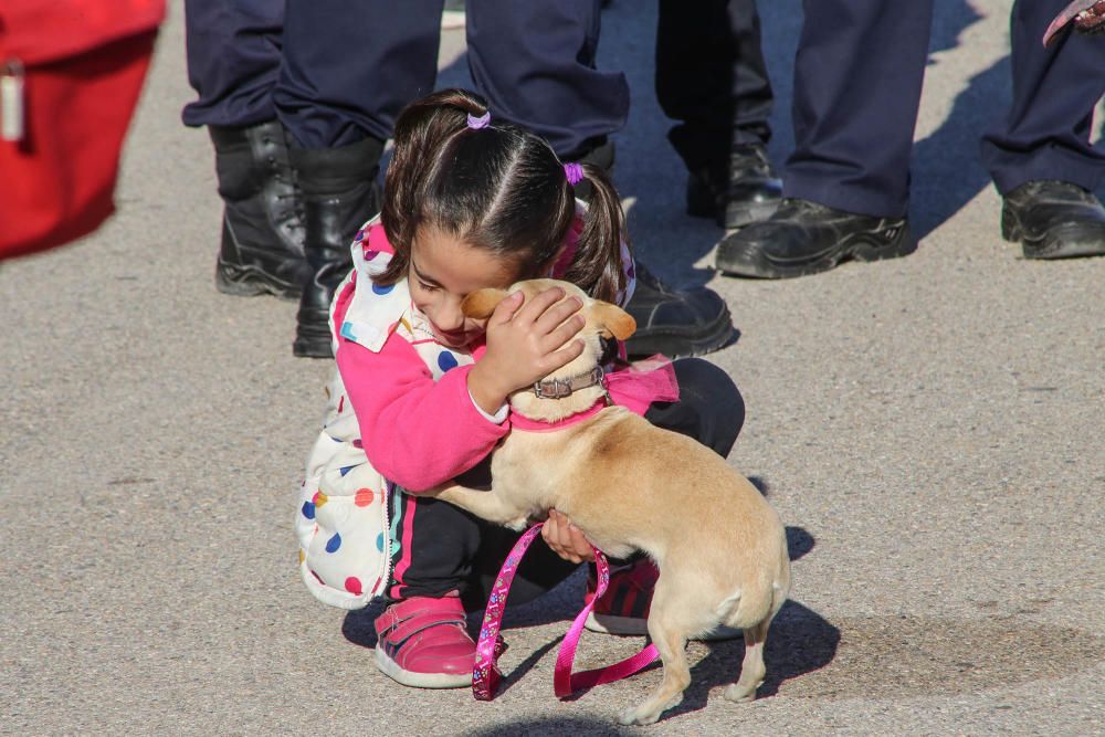 Almoradí celebra su primera Caminata Solidaria con animales