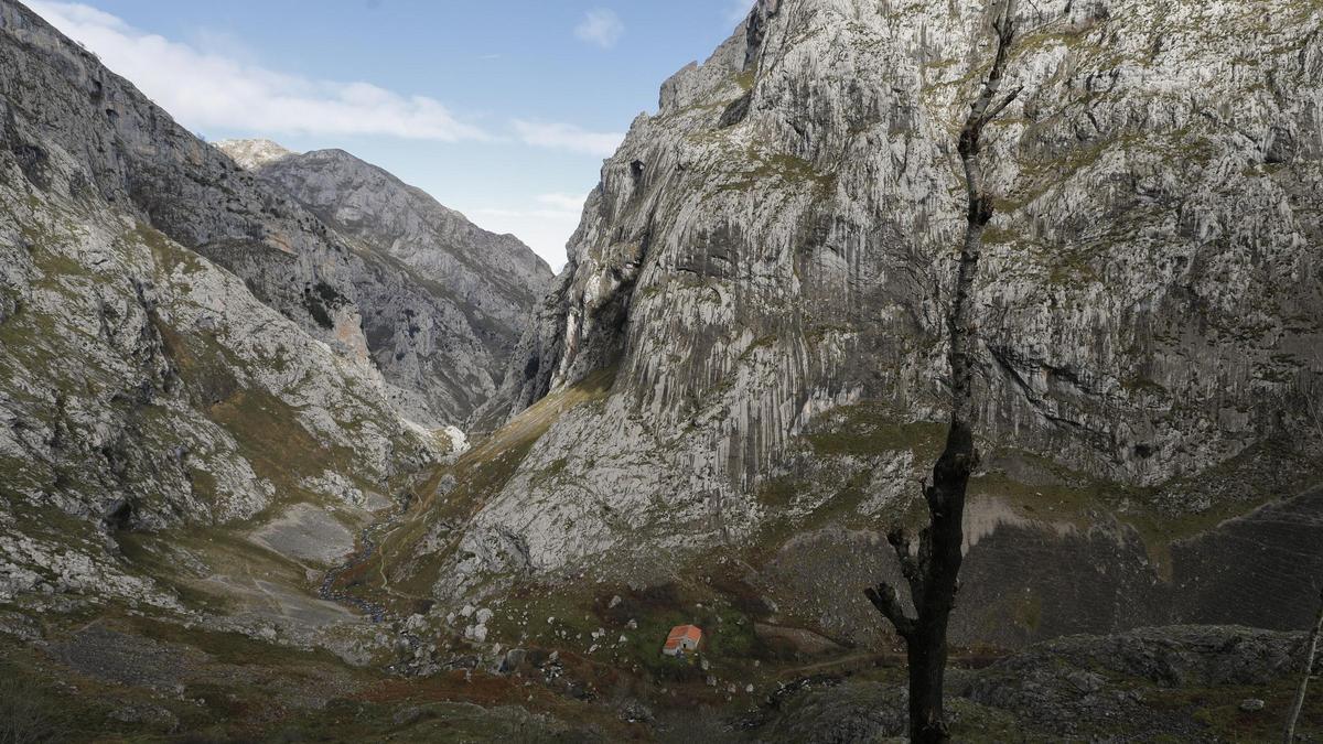 VIDEO: Así fue el impactante desprendimiento mortal en la canal del Texu, en Cabrales
