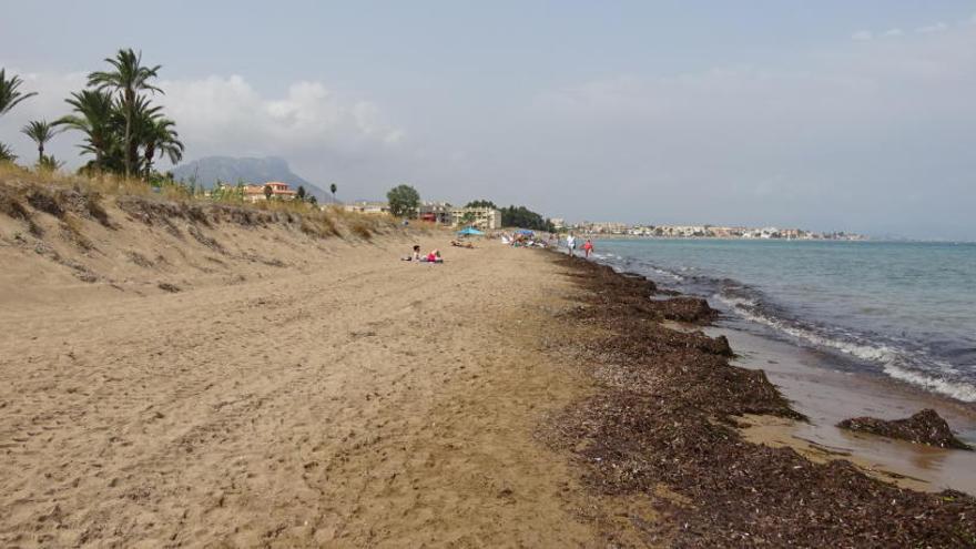 Bañistas de Els Molins critican que el temporal ha recortado su playa