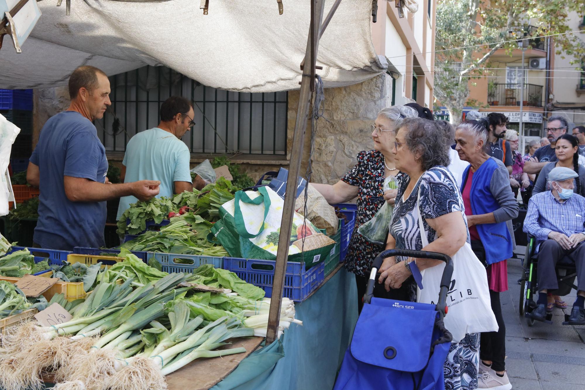 Im Einwanderer-Viertel: Der Markt in Pere Garau