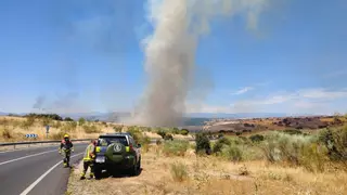 Controlado el incendio de vegetación en la Ribera de San Pedro de Arroyomolinos: sigue cortado un kilómetro de la M-413