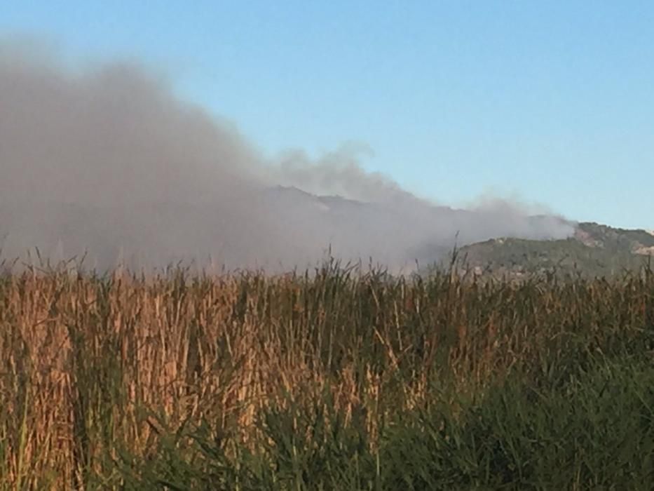 Incendio forestal en Benifairó de les Valls.