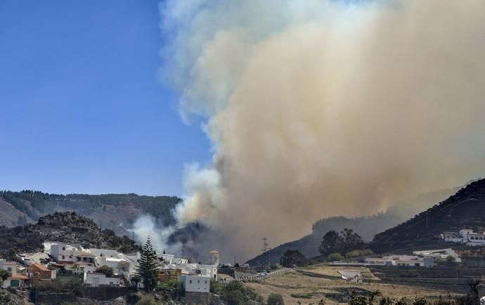 ARTENARA. Incendio en la Cumbre.Barrio de Las Peñas  | 11/08/2019 | Fotógrafo: José Pérez Curbelo