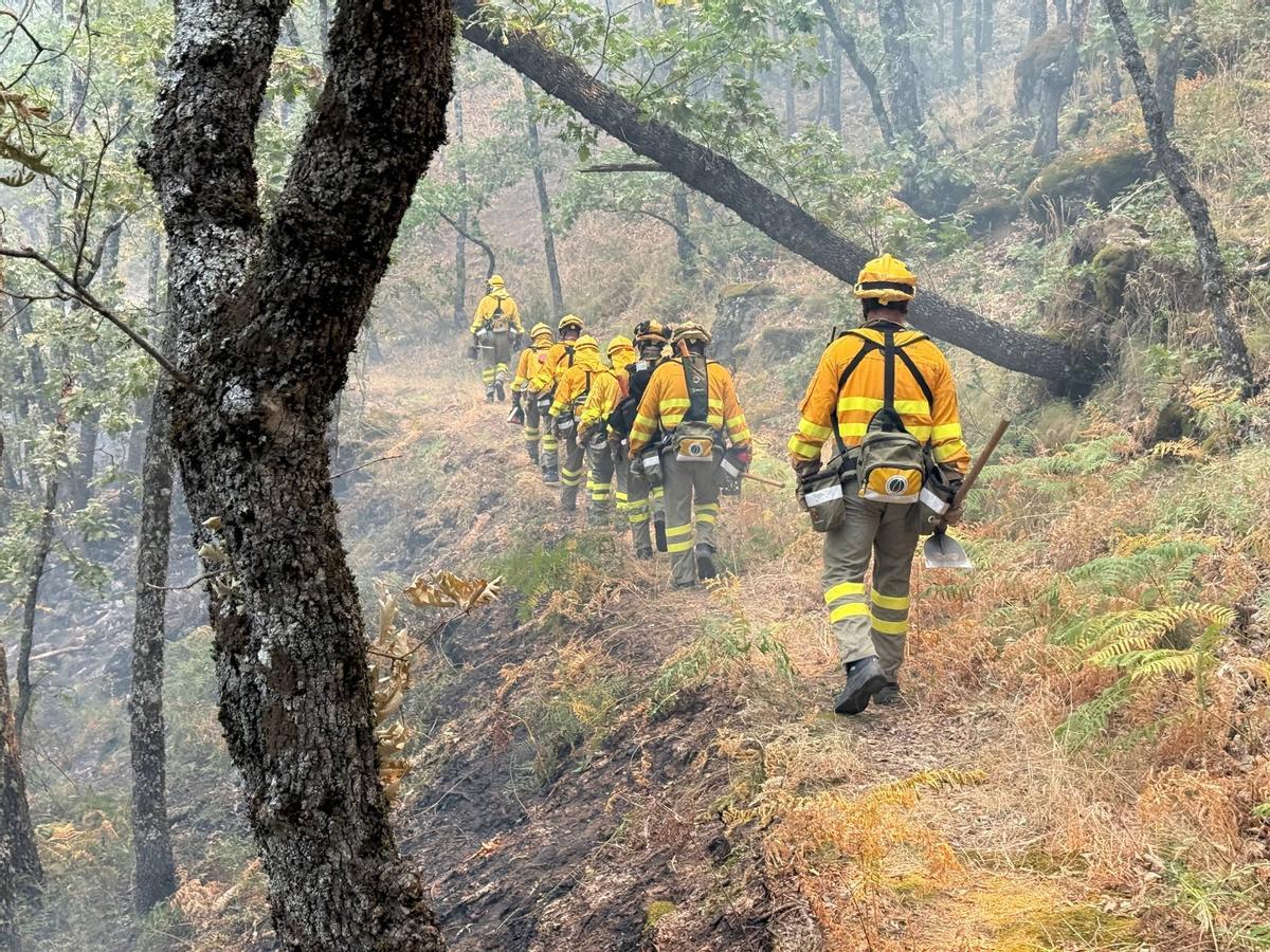 Bomberos forestales de la Región, trabajando en los incendios de Extremadura del pasado verano.