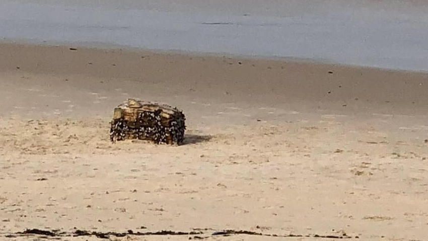 El fardo de caucho aparecido en Samil // FdV