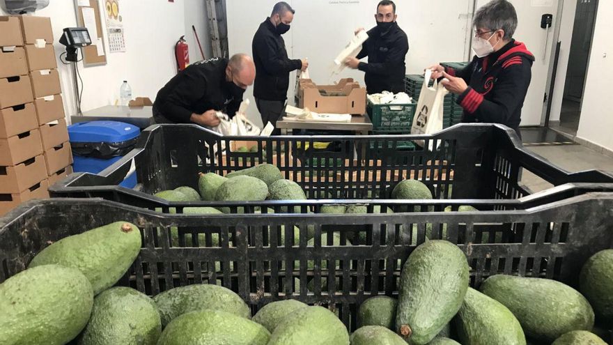 The most supportive avocados – El Día
