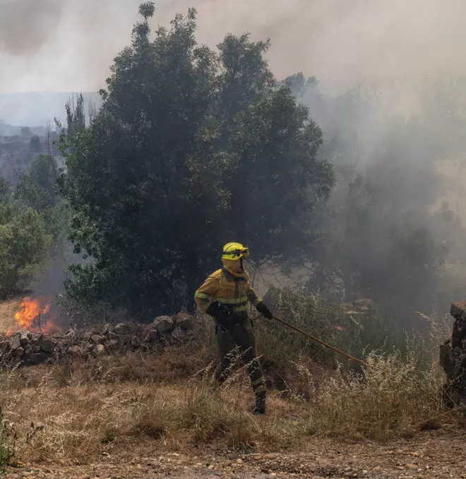 El incendio de Losacio ya ha calcinado 28.000 hectáreas, según la estimación del satélite