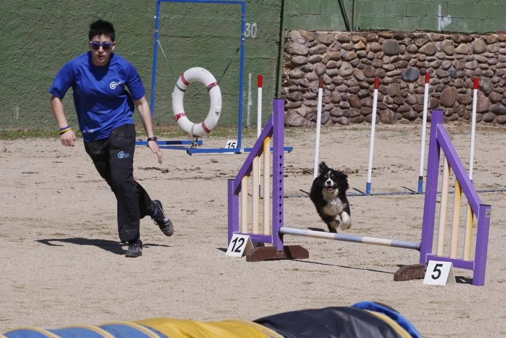 I Marxa Solidària Canina de Diari de Girona