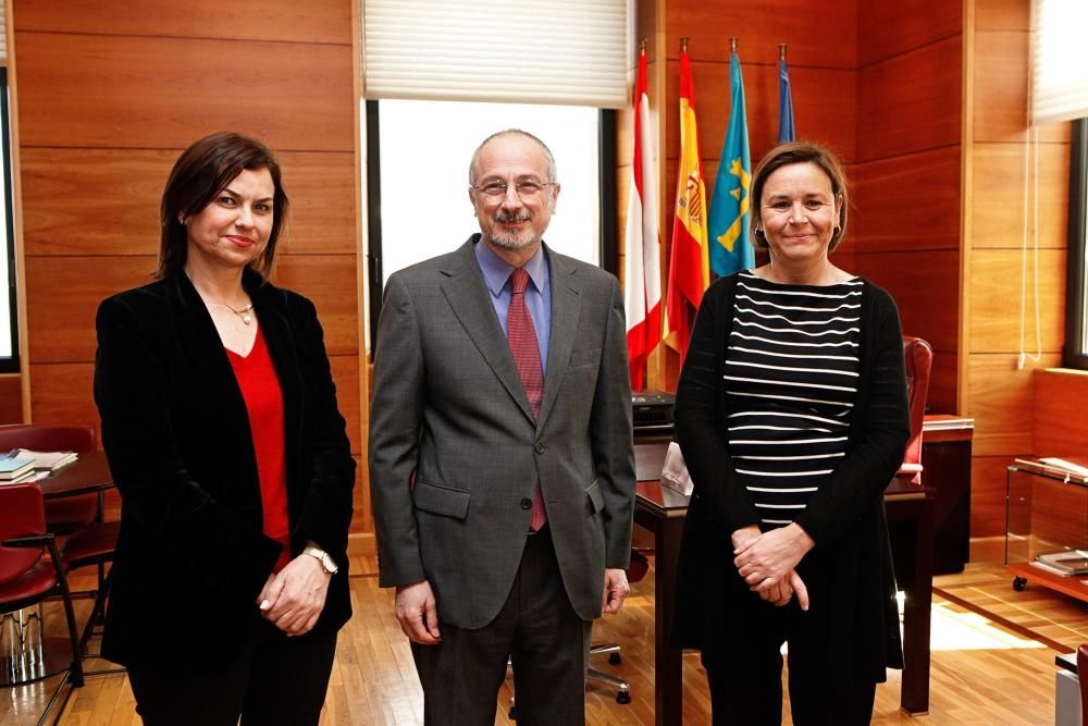 Recepción de la alcaldesa de Gijón al embajador israelí