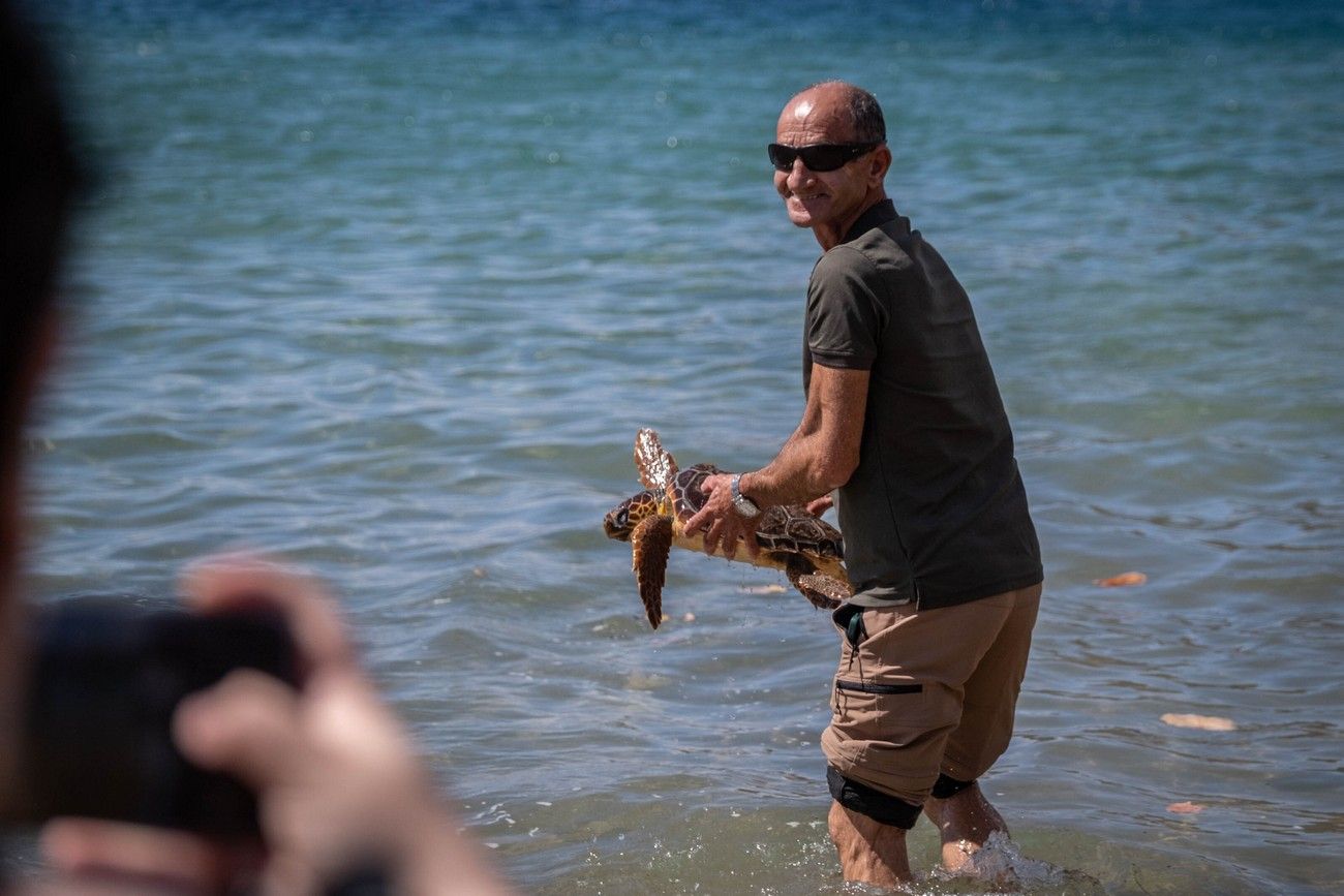 La reina Sofía asiste en Tenerife a una suelta de tortugas marinas recuperadas de lesiones