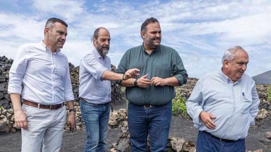 El Cabildo de Lanzarote destina 1,1 millones a los sectores vitivinícola y pesquero