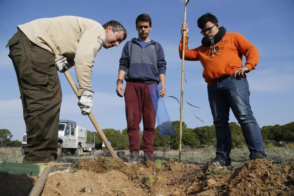 Plantación de especies autóctonas de alumnos del IES Mare Nostrum el día del arbol en el parque natural de las lagunas