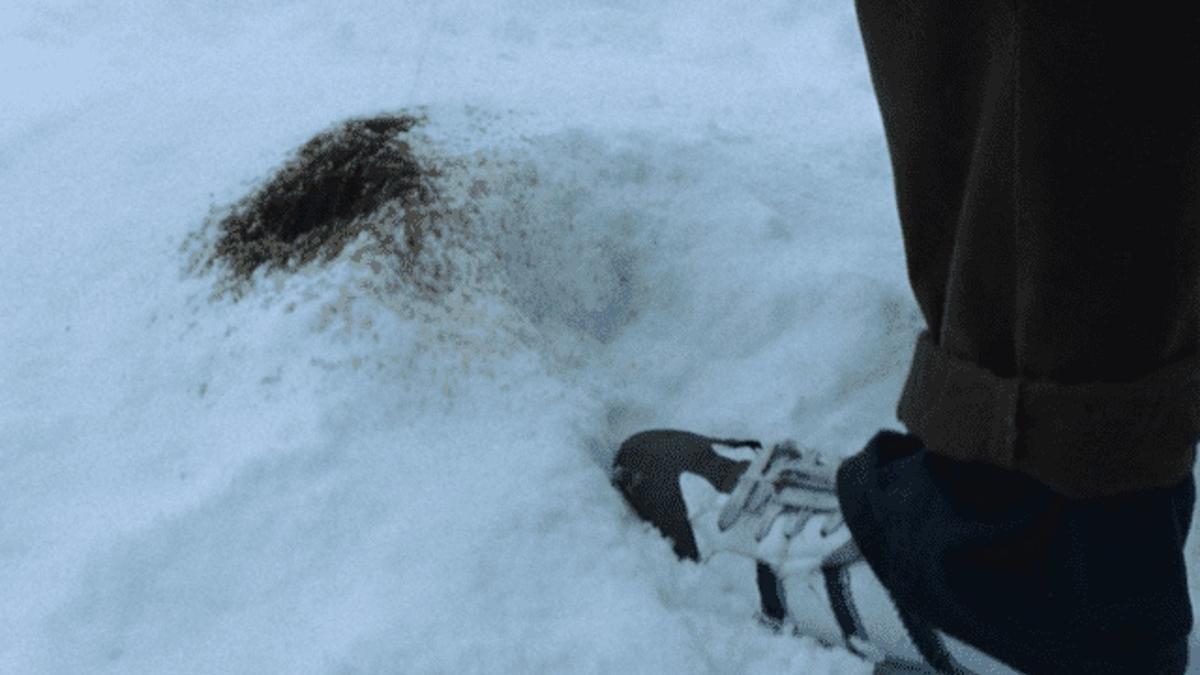Una imagen de la película La sociedad de la nieve