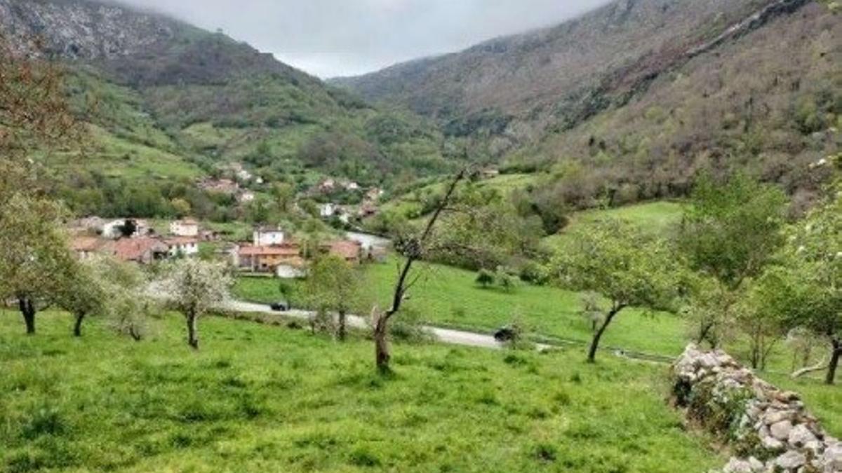 Finca de los apartamentos soterrados y al fondo Mier