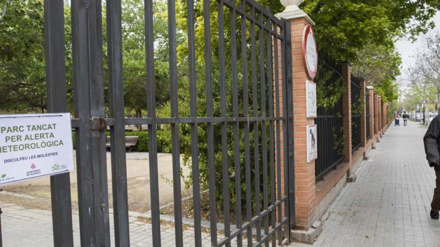 València cierra sus parques y jardines por el fuerte viento