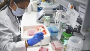 zentauroepp53501525 la paz200524100503