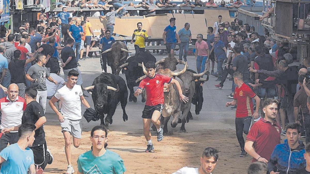 Los aficionados a los ‘bous al carrer’ disfrutarán de otro encierro. En la imagen el del sábado.