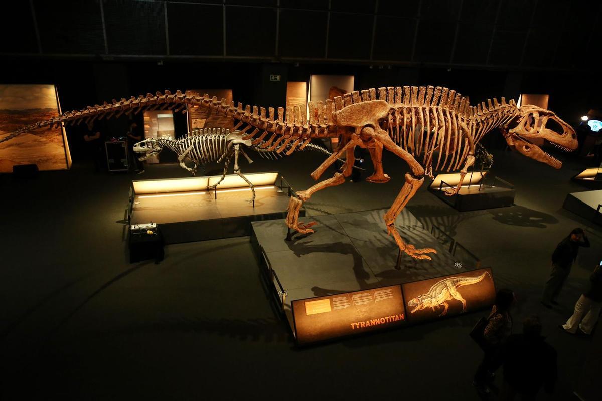 La muestra 'Dinosaurios de la Patagonia'.