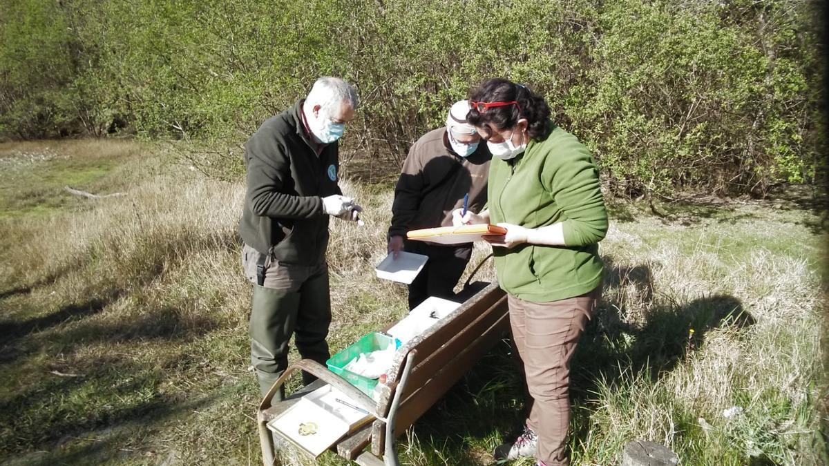 Participantes en la inspección realizada hace unos días en el entorno de la charca de Siradella.