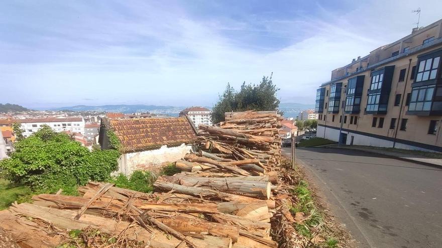 Cangas tala árboles en la franja de  A Choupana ante la tardanza de Seaga