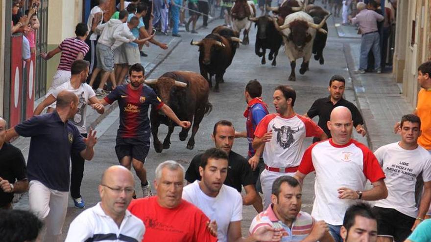 Toros y ofrenda compartirán el último sábado de fiestas de Sant Pasqual