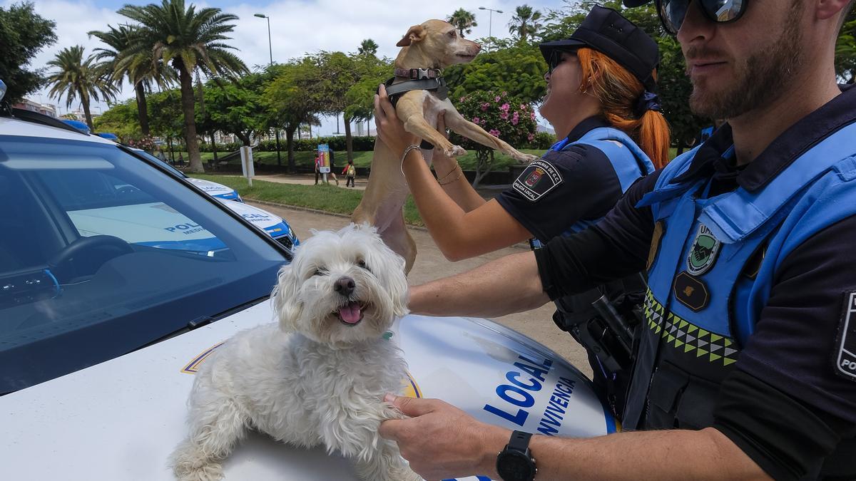 Algunos policías del grupo juegan con perros, unas de las razas con las que más tratan en sus casos.