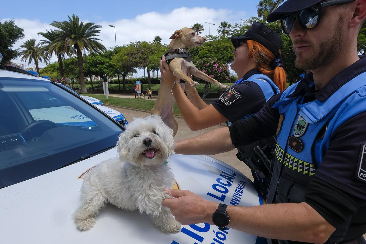 Algunos policías del grupo juegan con perros, unas de las razas con las que más tratan en sus casos.