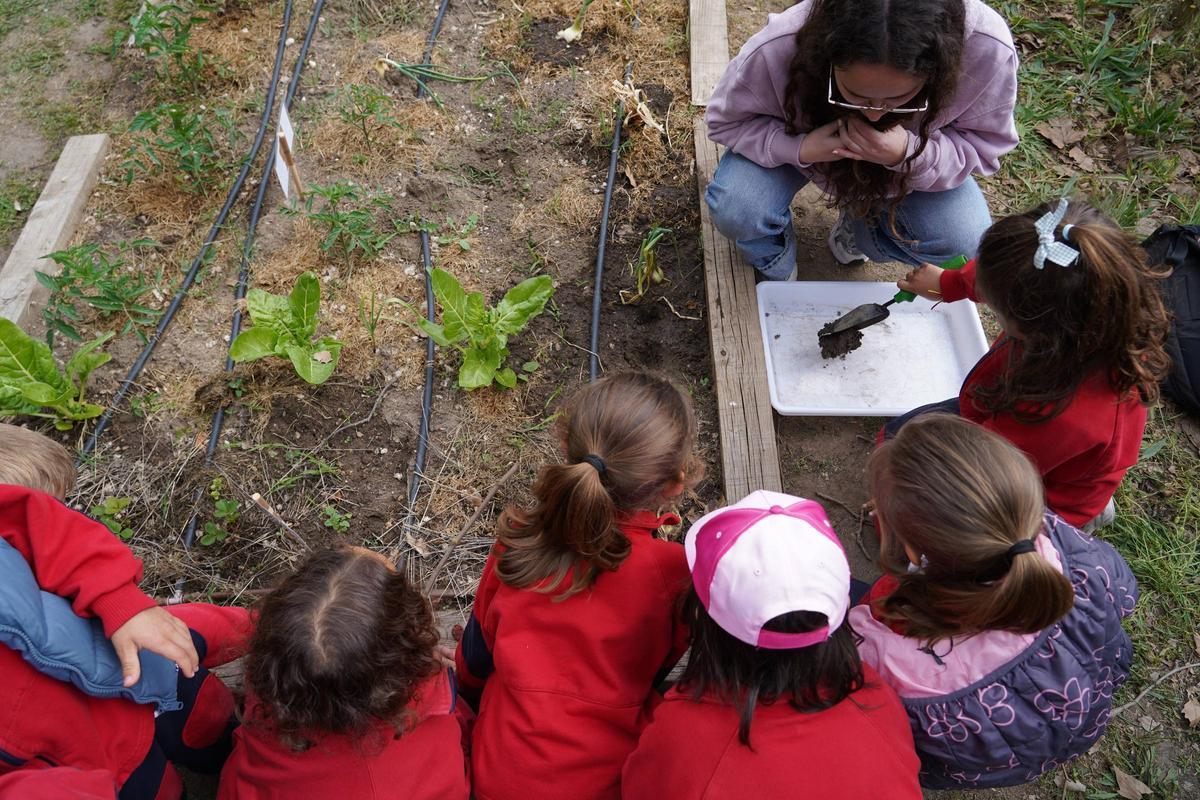 Proyecto educativo en el huerto del Campus Viriato Proyecto educativo en el huerto del Campus Viriato