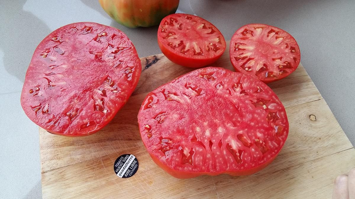 El Tomate Hhuevo de Toro del Guadalhorce es único en el mundo.